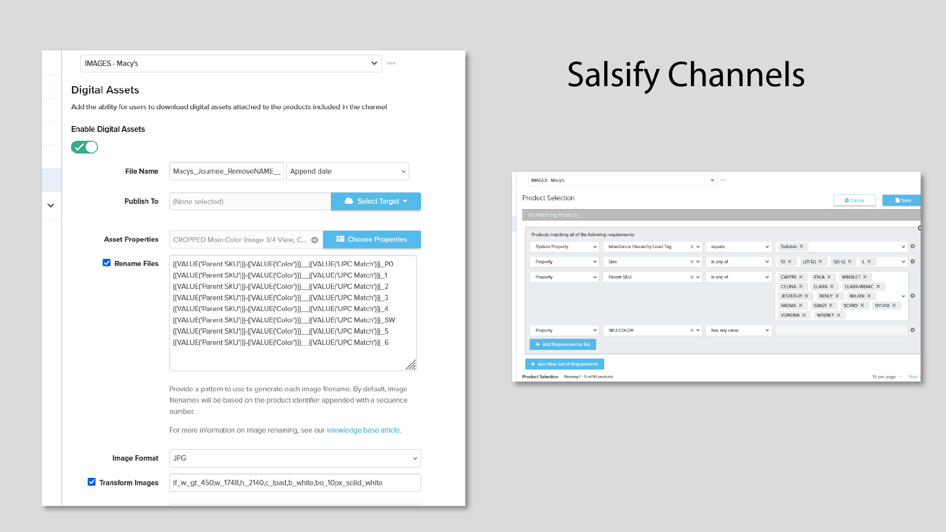 Salsify channel delivery screenshot